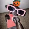 boiledbakedbeans