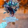 user3tvjtnklmz