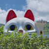 windsorchang