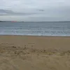 vtjcris