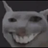 normalcat_2_