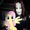 meowxd_8