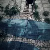 bonn_ditttt