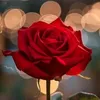 imane