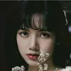knilBclip