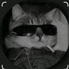 jonshkha6o