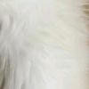 user1210510141