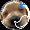 thanhphuc1220