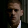 michael.scofield666