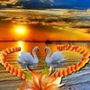 celestelopez868