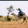 saidmedsaid602
