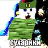 Военный кот сухарики