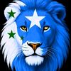 hamda391