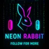 neonrabbit.memes