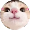 mskimnamfat