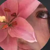 horr_527