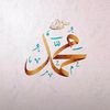 msdsarr221