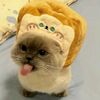 brucetherealmonkey
