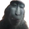 lordzanjiyt