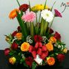 mayenssi_