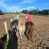_lucasdiasp_