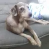 katiamariadelima0