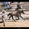 oscarvicente395