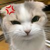 userokuz0s8vmy