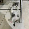Dawudson_