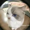linhnhi1604212