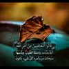 hudhudy_