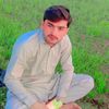 amirgull446