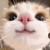 j3nnkim