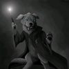 .wilddogstarwizard