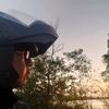 wandotnet