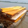 timber_empire_