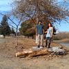 saulcarrizales196