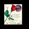 lrmoman.vai.official