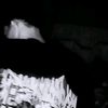 1kk655