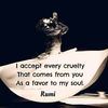 mirzuhaib_haider