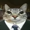 thichxemsoeich