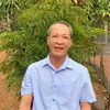 nguyenhai38613