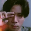 vincelerasan