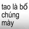bomaylaconbo_11