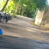 cauhai66dt