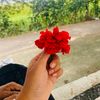 প্রেয়সী🌼