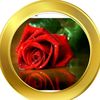 lameesm_1212