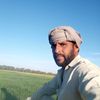 najeebullah067a1