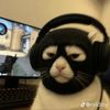 camheecamted1