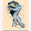 mrraptor2015
